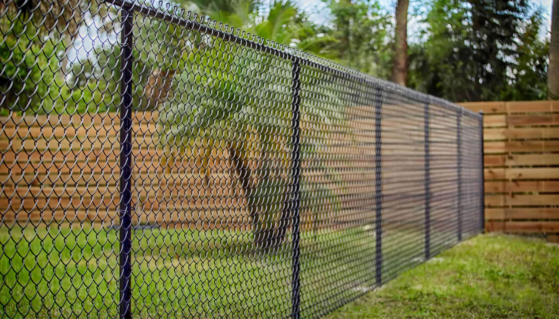 Chain Link Fencing services in Louisville