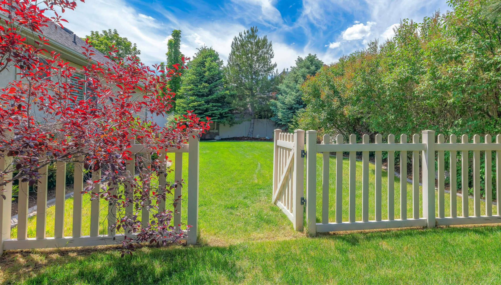 A functional fence gate providing access to a well-maintained backyard, surrounded by a wooden fence in Louisville